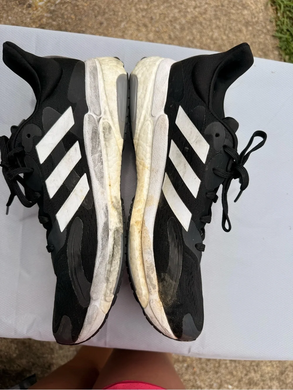 adidas classic sneakers